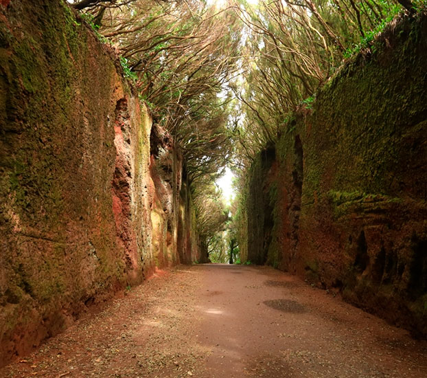 Anaga Rural Park tenerife
