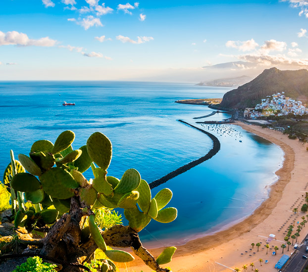 tenerife santa rosa