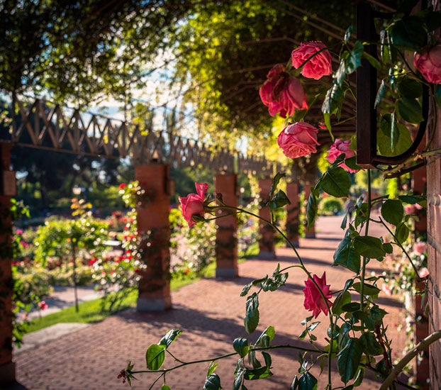 Parque del Oeste madrid