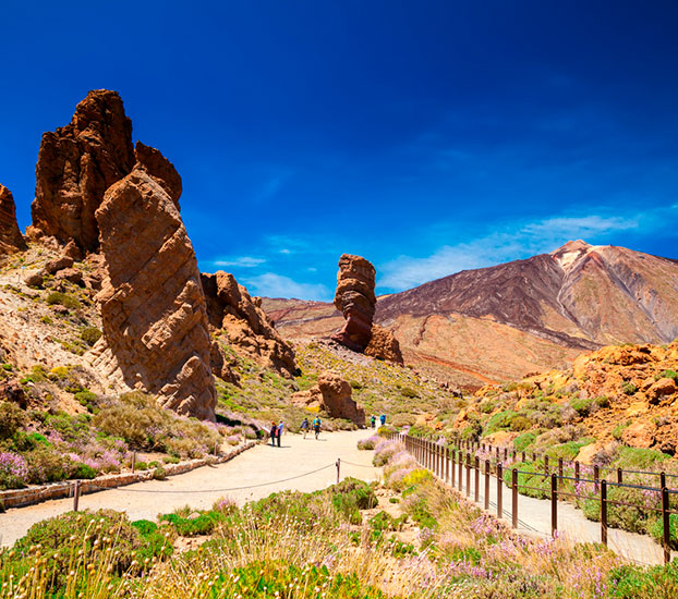 tenerife National Park of Teide National Park of Teide
